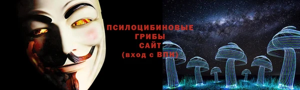 прущие крисы Зеленодольск