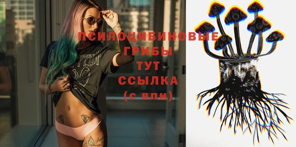 трава Зеленокумск