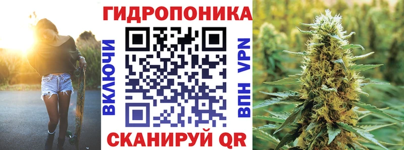 Марихуана семена  наркошоп  Шарья 
